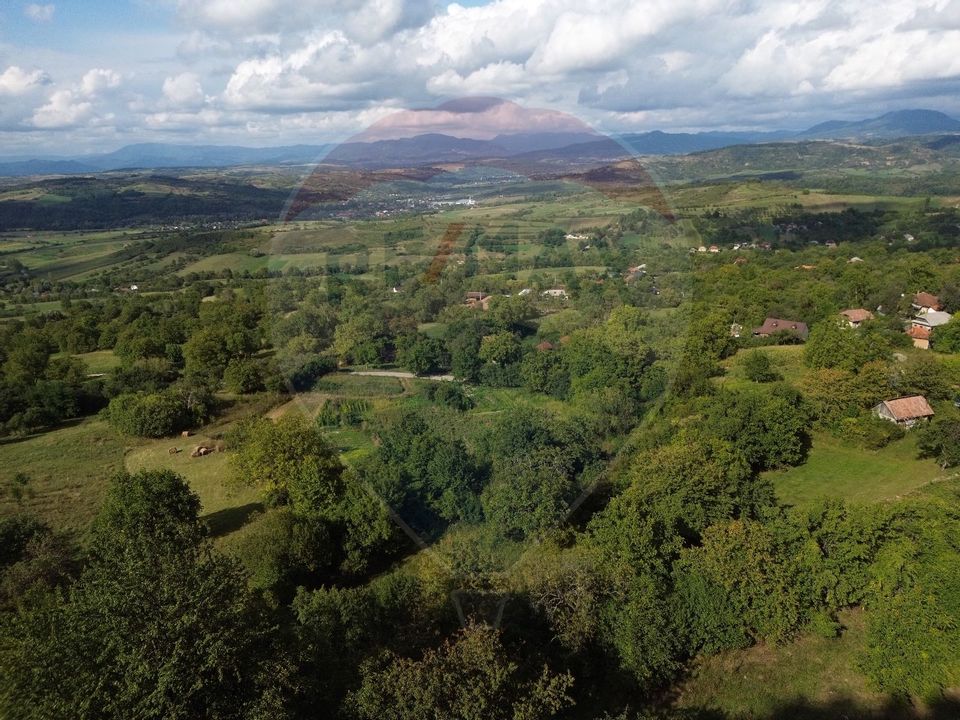 Land 5,000sqm Magureni / Strada Principală