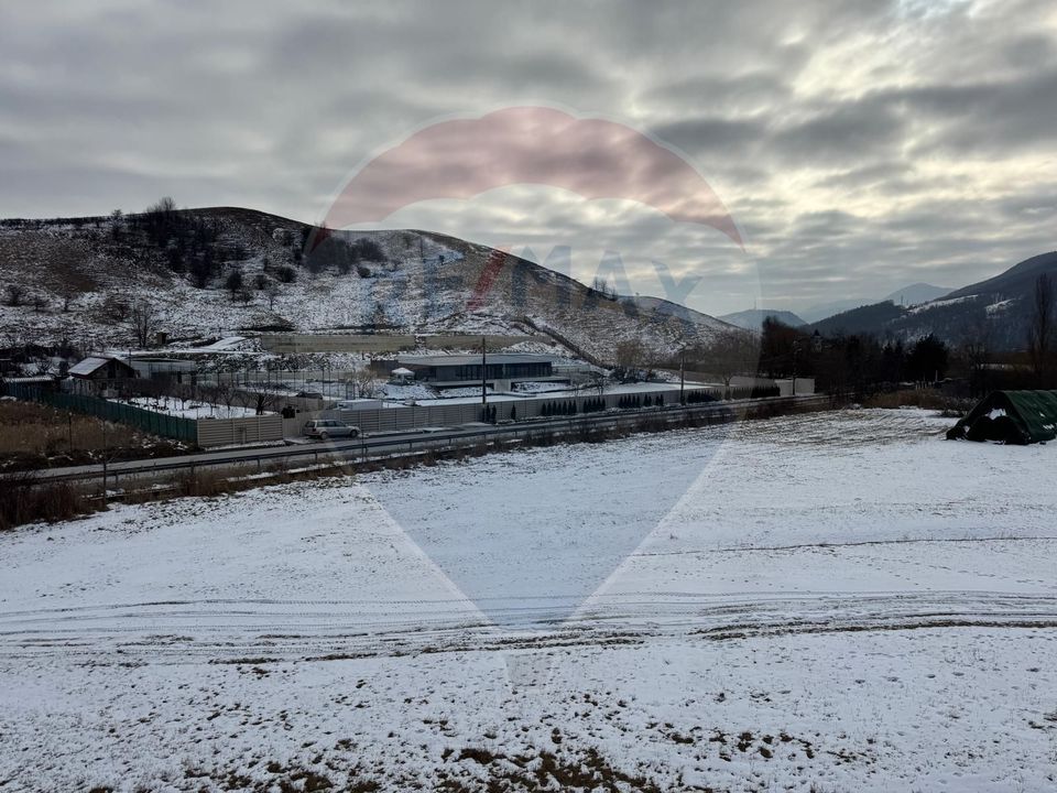 8 room House / Villa for sale, Darmanesti area