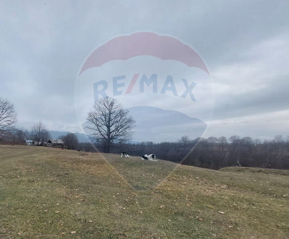 Land 11,400sqm Comanesti / Prelungirea Punct podina