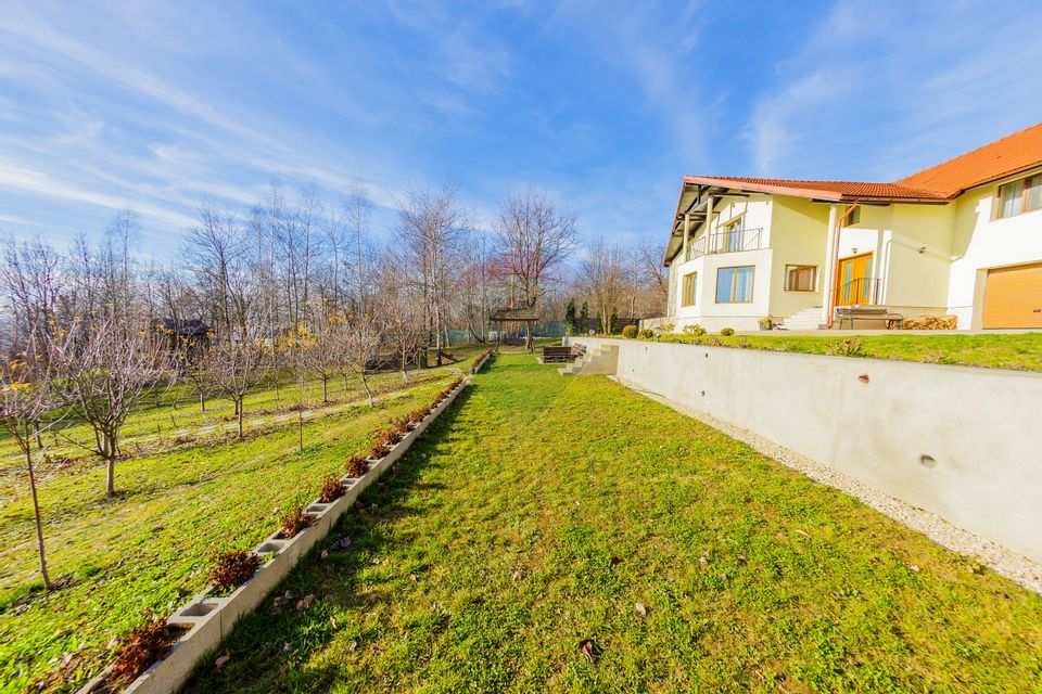 VILA DE VIS CU TEREN GENEROS, DE VANZARE