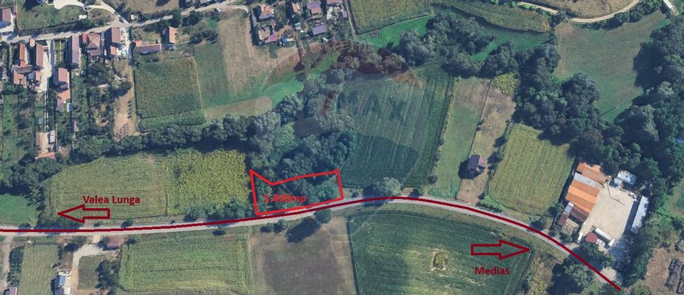 Teren 1,400mp Medias / Valea lunga