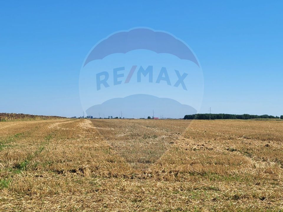 Teren agricol 2 ha Arad / aproape de DN Arad Curtici -Sofronea
