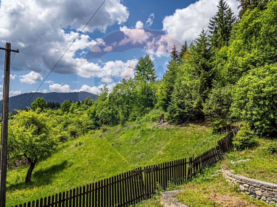 20 room House / Villa for sale, Central area