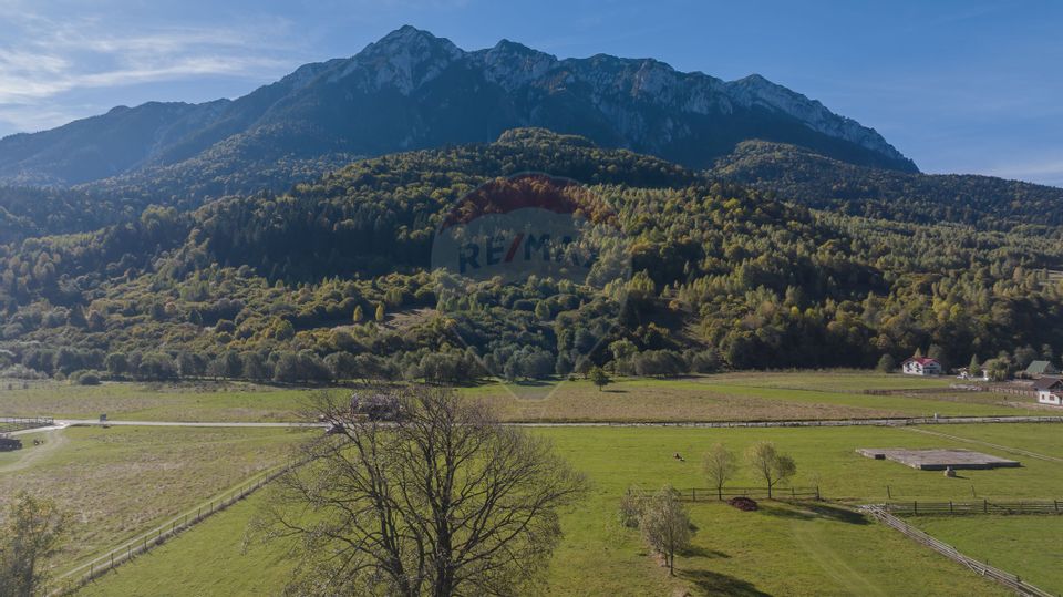 Teren 3.997 mp, priveliște superbă Plaiul Foii, 0% comision