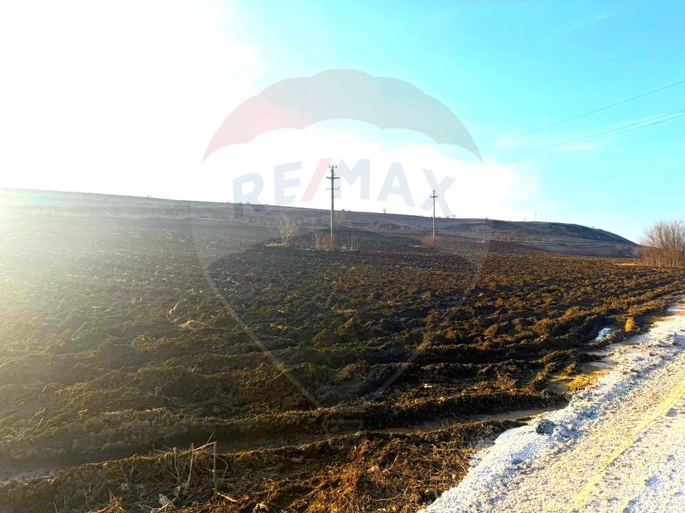 Land 4,956sqm Letea Veche / Calea BARLADULUI