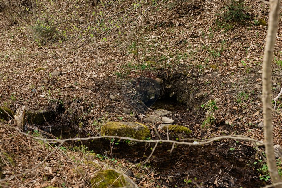 Proprietate unică în Tarcău – 30.283 mp intravilan, casă P+M