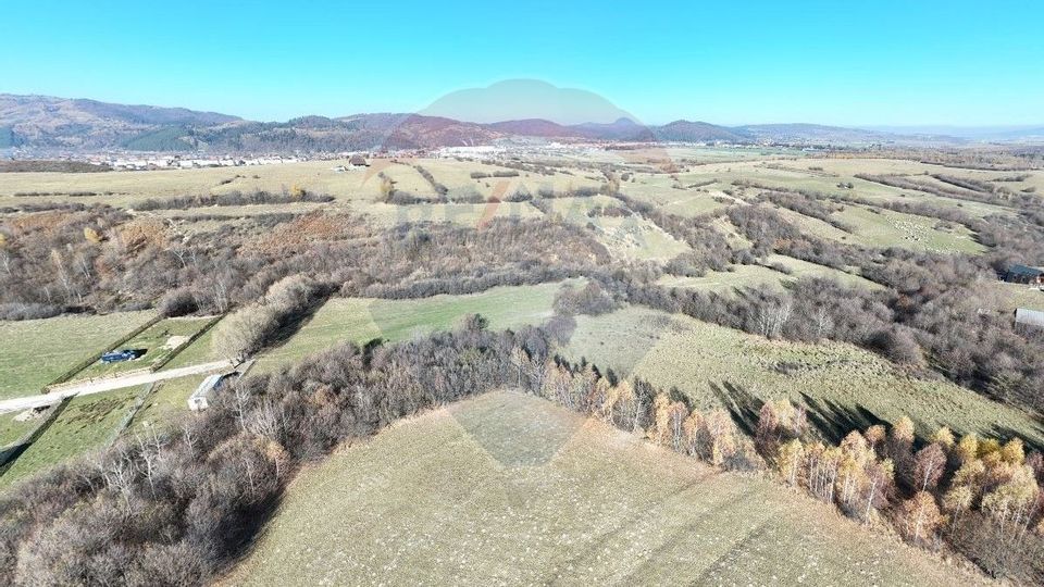 Comision 0% | 2 parcele x 650 mp | Priveliste Bucegi,Magura,P Craiului