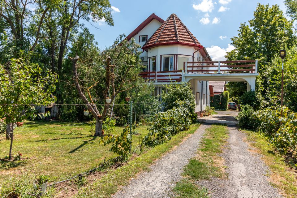 Casa+Laborator+ Teren 12.700 mp + casa de vacanta - Bolintin Vale