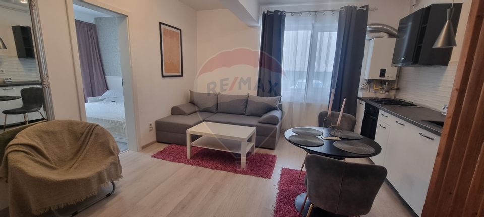 Studio/2 camere cu curte si loc de parcare Strada Biruintei
