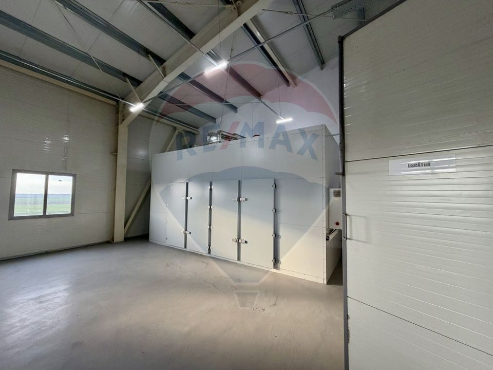 Teren agricol 13,1 ha + Hală 700 mp + Utilaje Agricole - Piscu, Galati