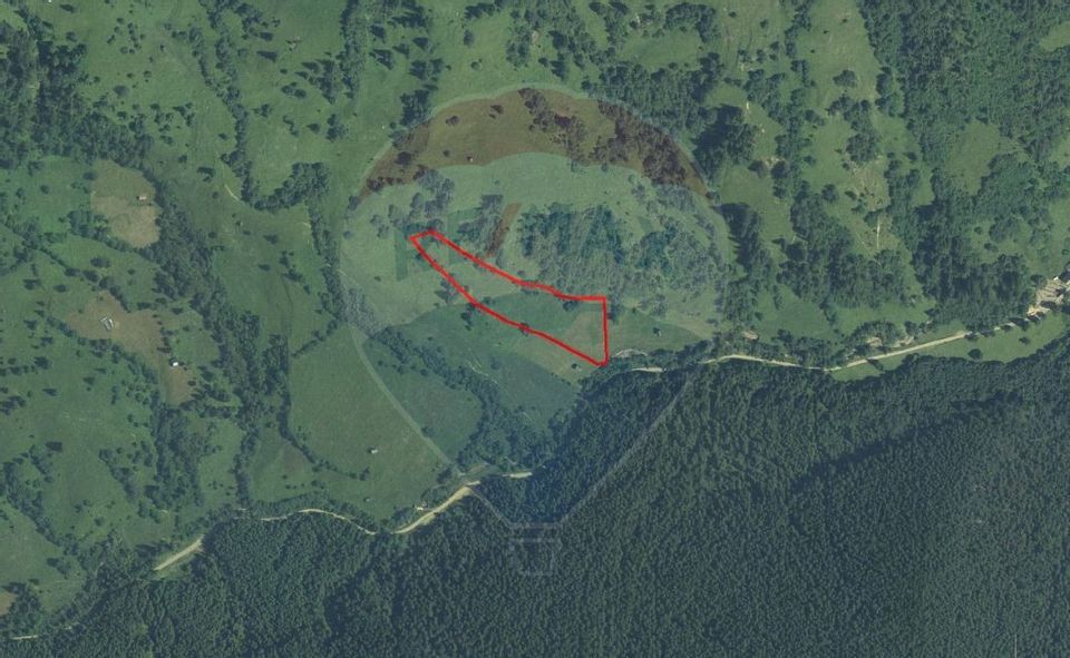 Land 12,127sqm Frasin / Drumul Forestier Valea Seacă