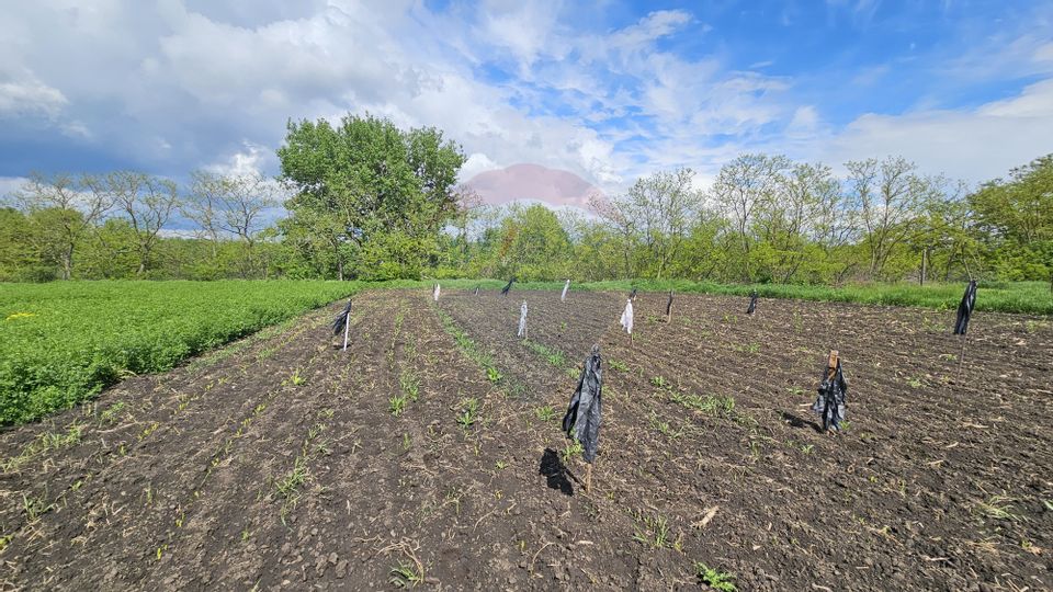 Casă  cu 3 camere, teren intravilan de 1300mp în Ipotești Tișăuți, SV