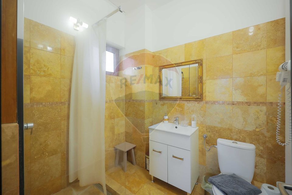 10 room Hotel / Pension for sale, Nufarul area