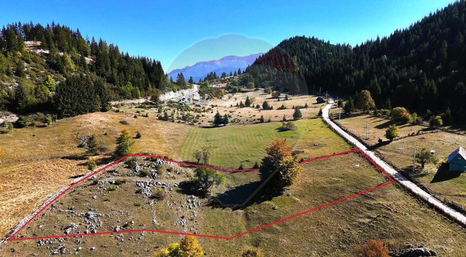 Land 1,056sqm Fundata / Strada fara nume