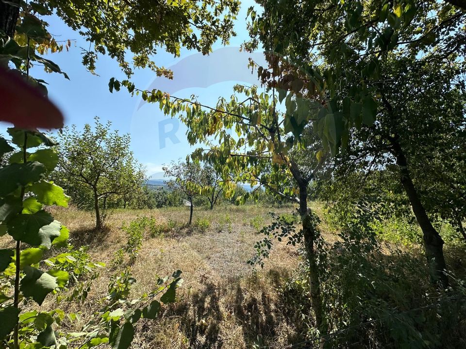 Land 2,000sqm Grosi / Strada Dumbravei