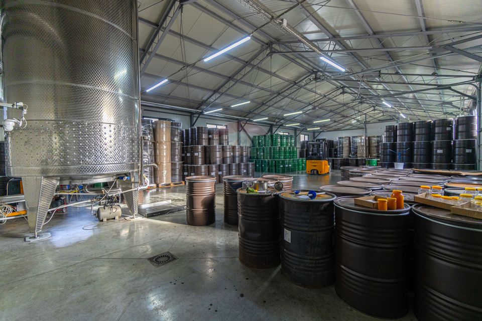 Spațiu industrial modern de vânzare – Făgăraș - Comision 0%