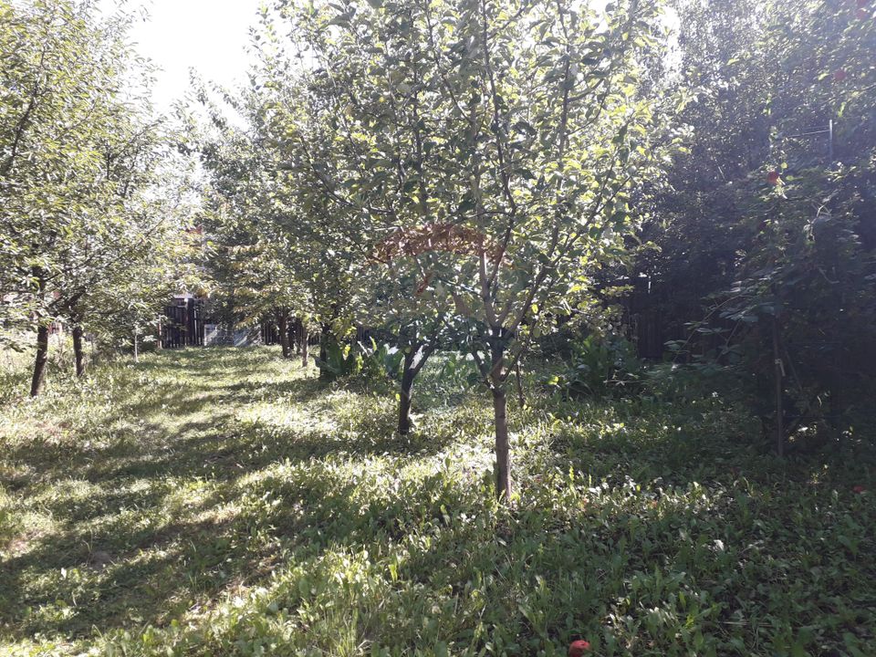 Land 900sqm Sanpetru / Strada TRIAJULUI