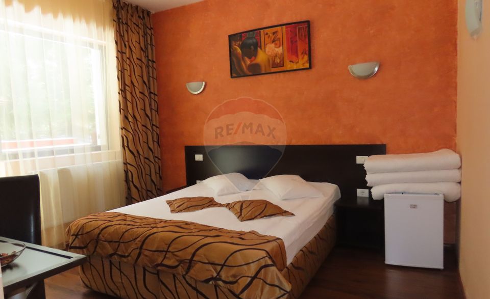 14 room Hotel / Pension for sale, Vladet - Trei Brazi area