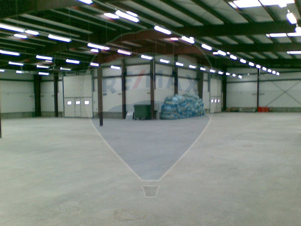 Industrial space Production or storage hall Branesti