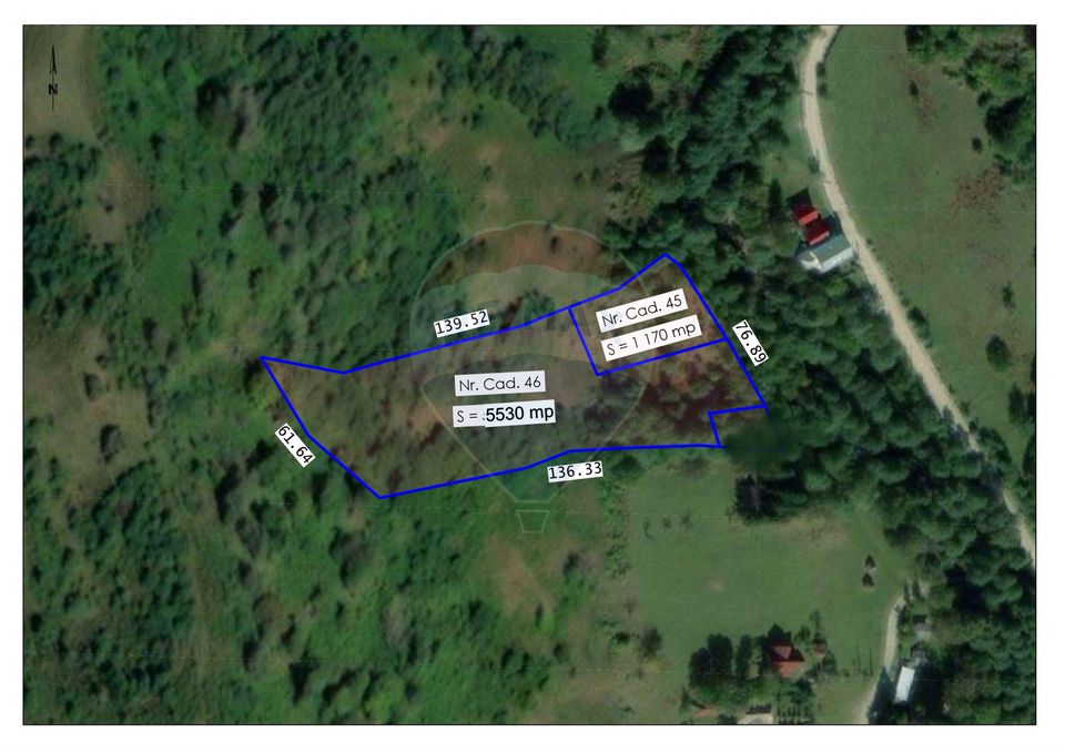 Teren 6700 mp, Apuseni, Pietroasa, Valea Aleului, Bihor, De Vânzare