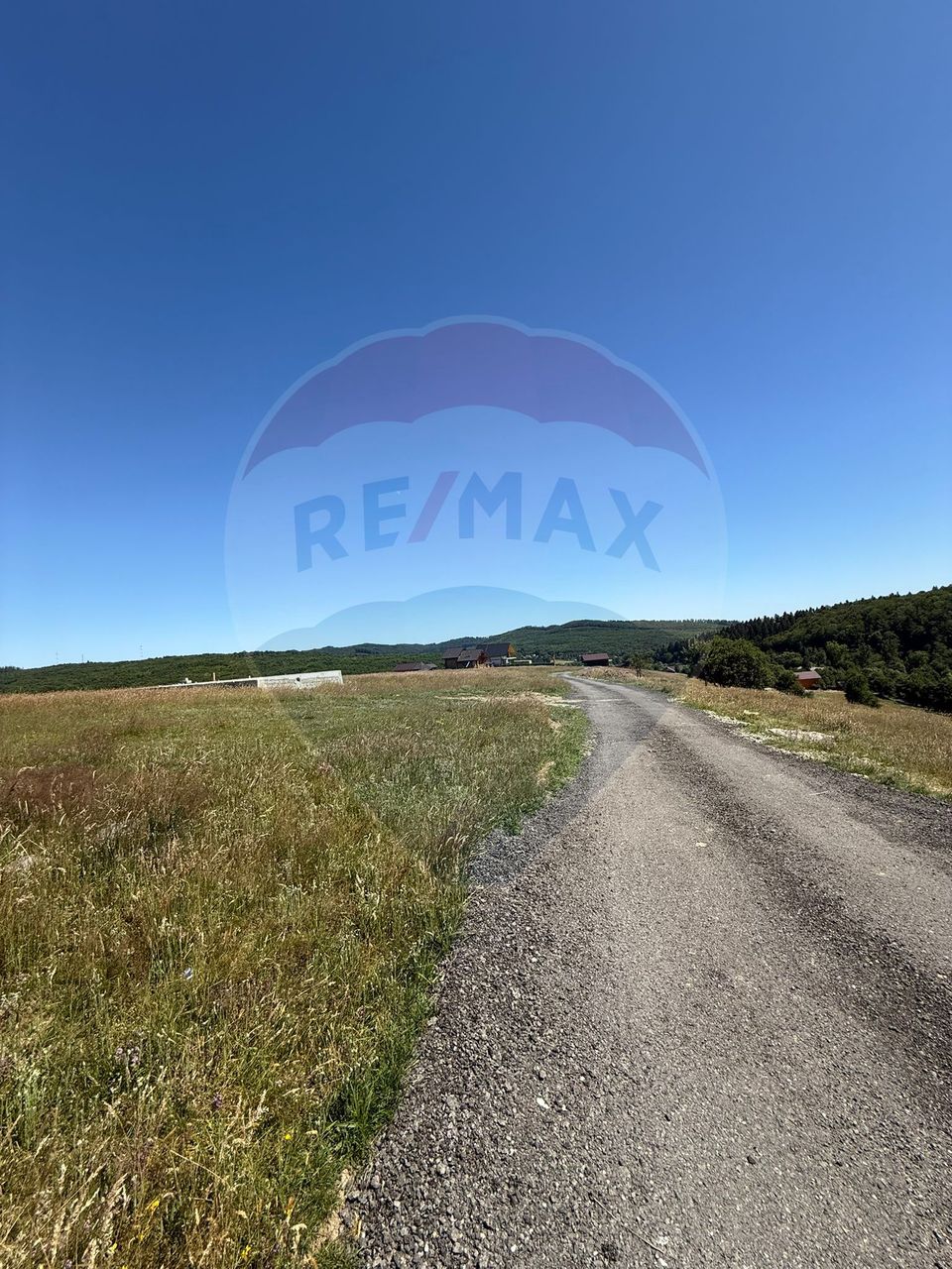 Land 3,757sqm Paltinoasa / Strada principala