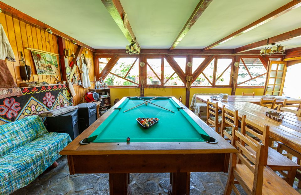 Casă spațioasă cu garaj dublu, foișor și curte amenajată