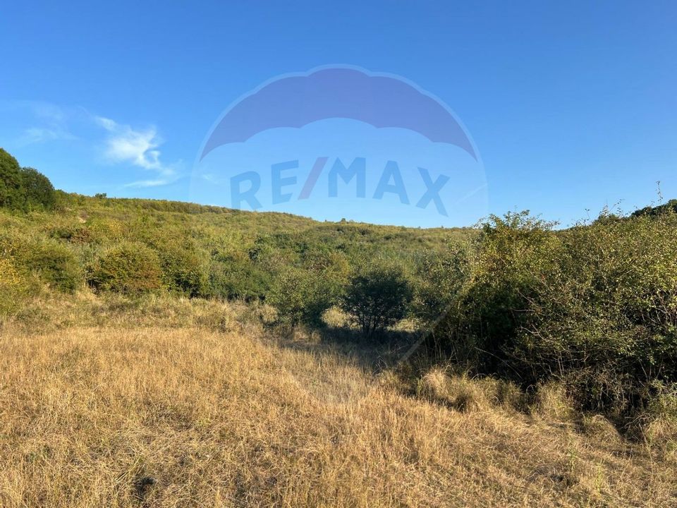 Land 50,000sqm Caianu-Vama / Strada Principala