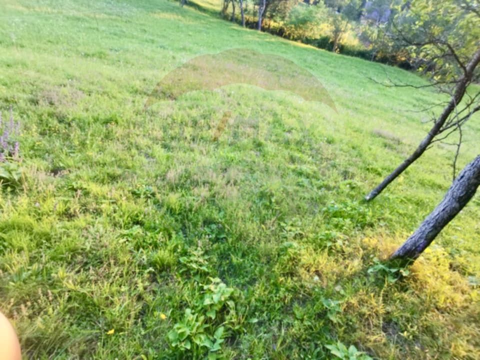 Land 6,900sqm Breb / Drumul secundar