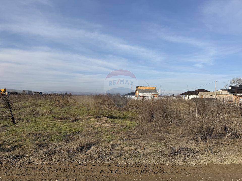Land 7,478sqm Bucov / Strada Tineretului