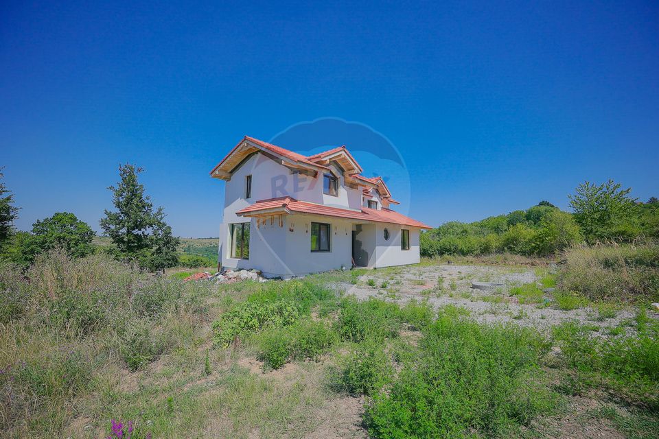 De vânzare casă cu un proiect deosebit, la roșu , Str. Gheorghe Doja