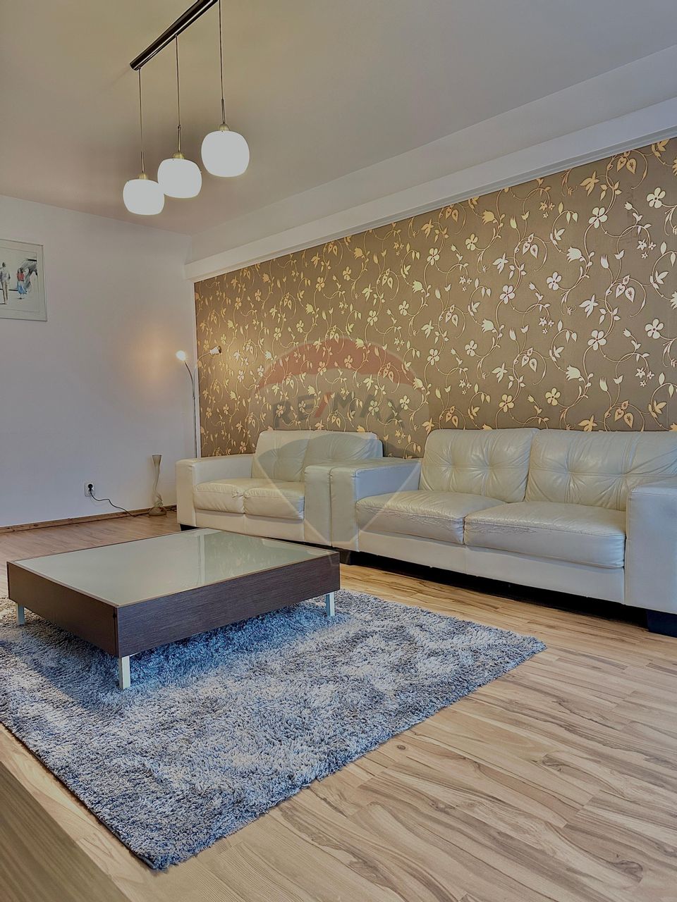 Apartament 2 camere Ared Micalaca