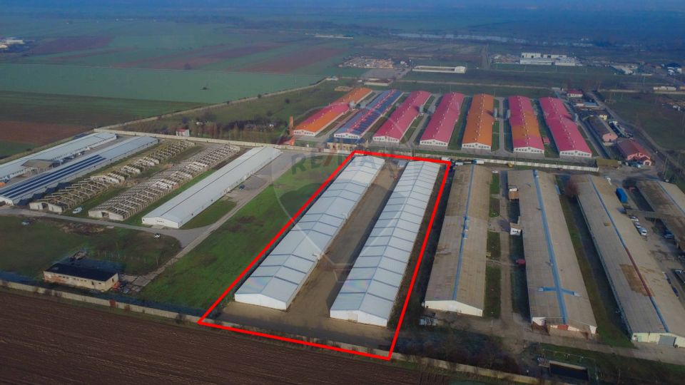 De vânzare – 2 hale industriale, 5.050 mp utili, Palota