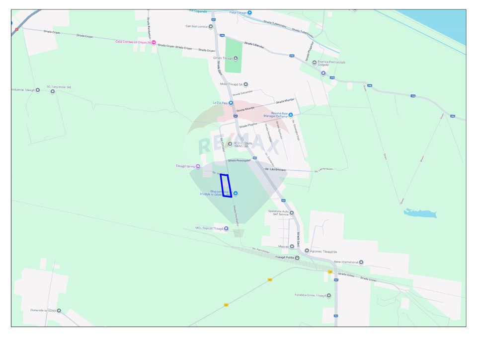 Teren intravilan industrial de vânzare - 9505 mp - Tileagd