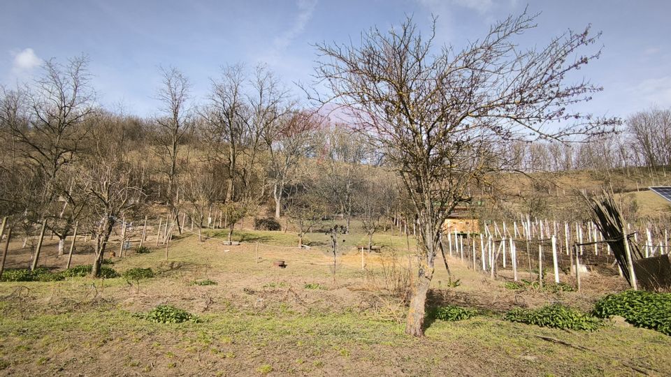 Casă  la țară in Transilvania - sat sasesc Păucea, jud. Sibiu