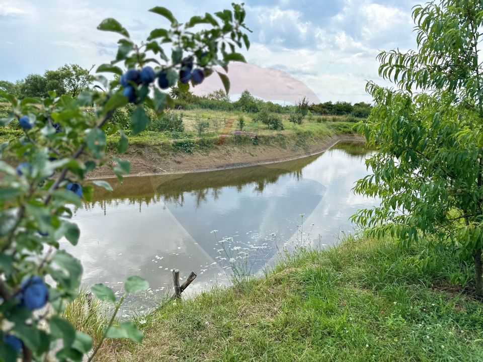Land 29,656sqm Bozanta Mica / Strada Deva