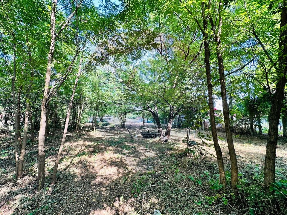 Land 1,500sqm Livedea / Strada Plopilor