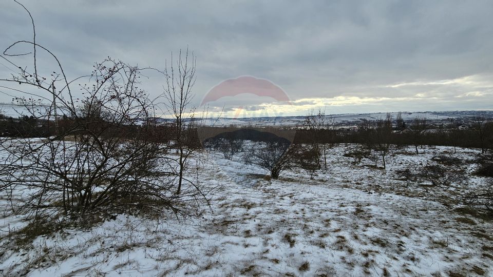 Teren 10,000mp Rădășeni / Șoseaua DN2-E85, județul Suceava