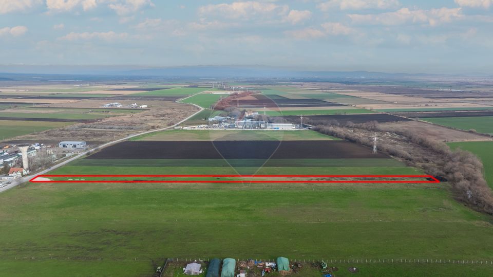 Land 10,000sqm Codlea / Strada Halchiului