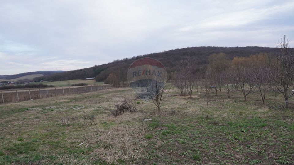 Land 517sqm Bacau / Strada Principala