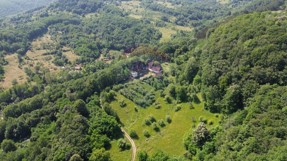 10 room House / Villa for sale