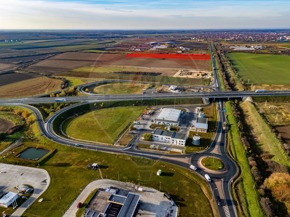 Teren 29220 mp Pecica,DN7, langa autostrada- Ideal pentru afaceri