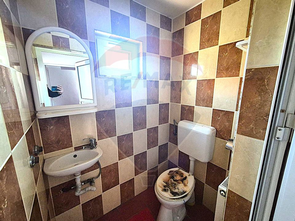 6 room House / Villa for sale, Serbanesti area