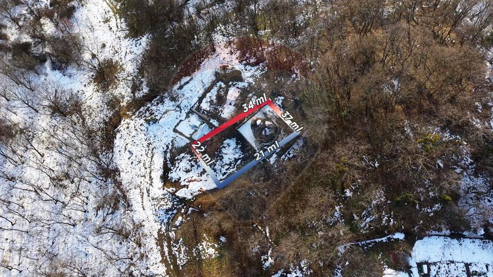 LOCATIE DEOSEBITA - Miron Costin