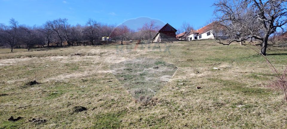 Land 23,600sqm Inuri / DJ 705C