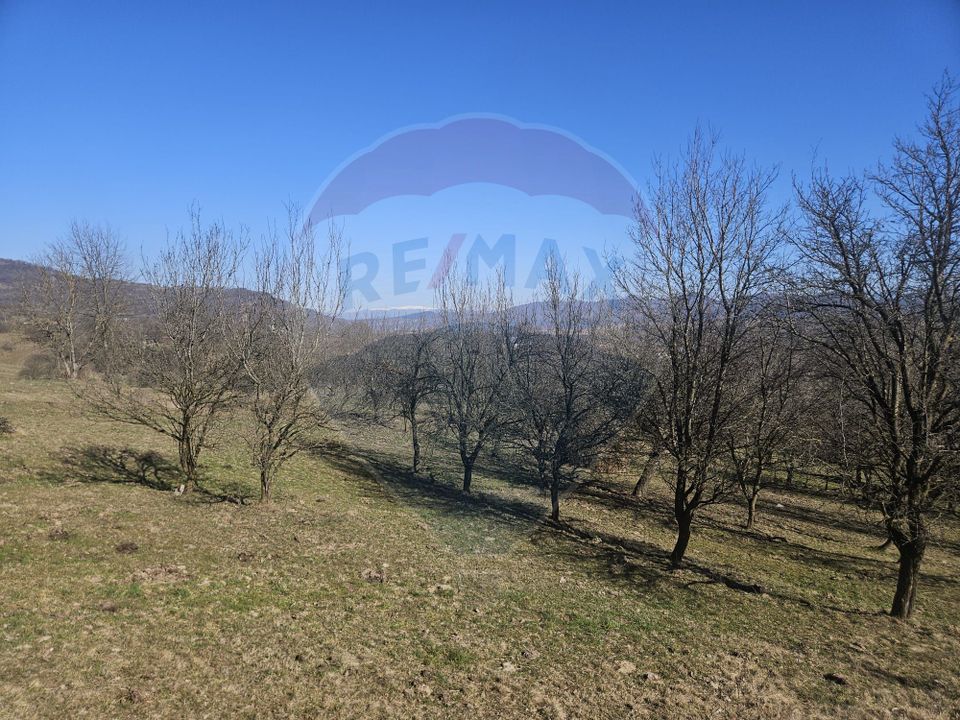 Land 4,627sqm Giulesti / Strada PRINCIPALA