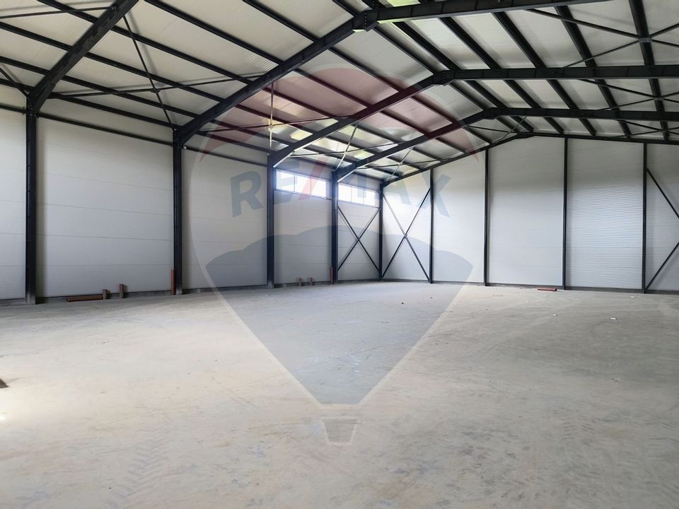 Industrial space warehouse hall Theodor Pallady area