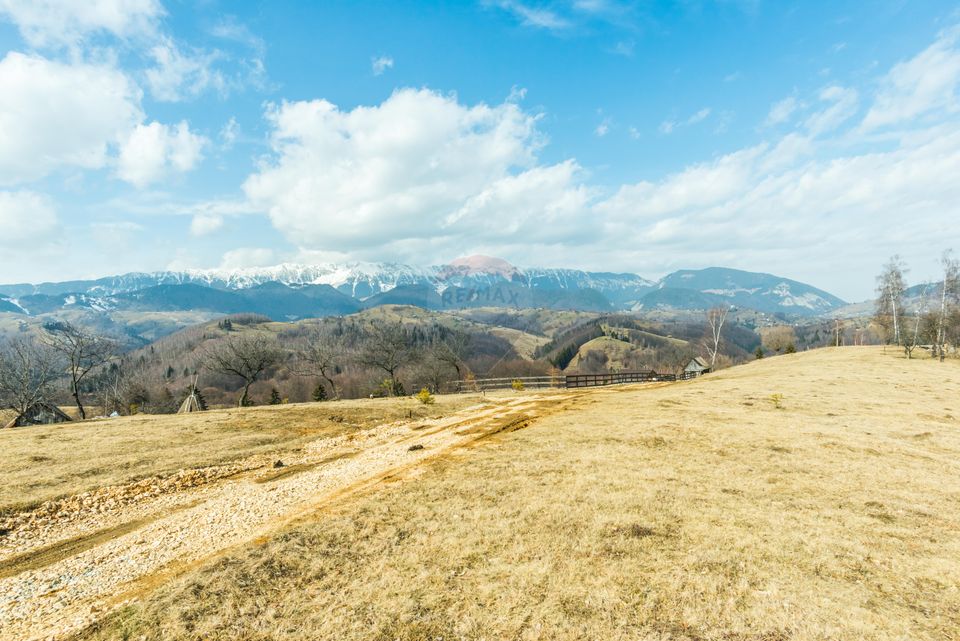 Comision 0%! Teren Moieciu de Jos 1500 mp