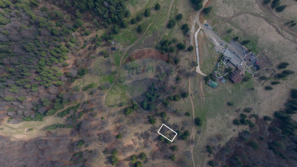 Land 1,000sqm Poiana Brasov / Strada Pastorului