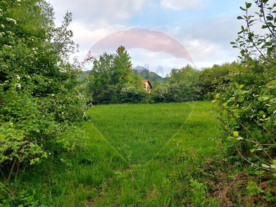 Land 4,223sqm Zarnesti / Strada Tohanita