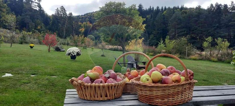 2 room House / Villa for rent